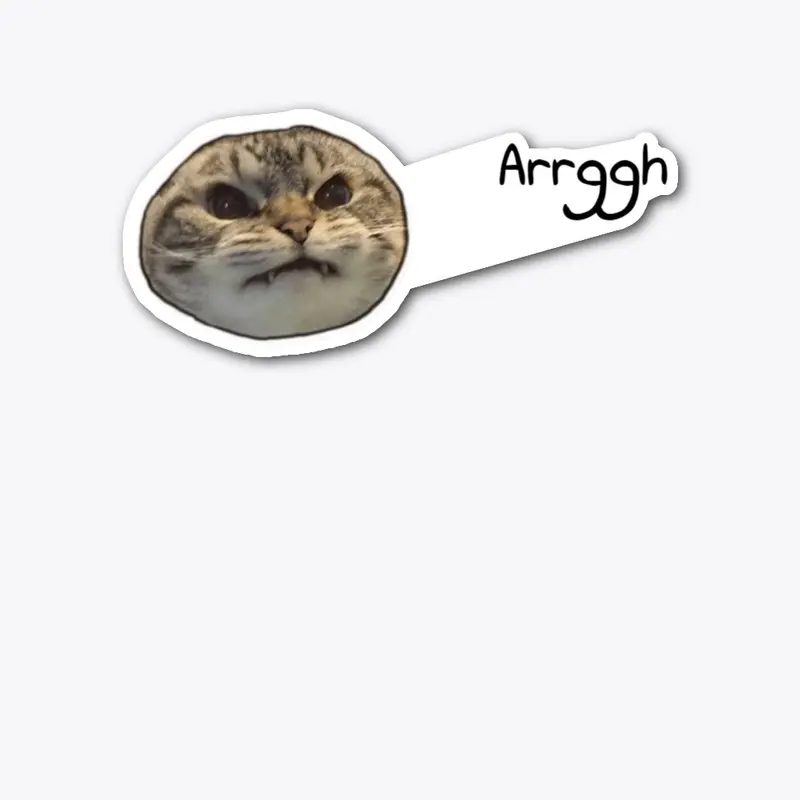 Angry cat