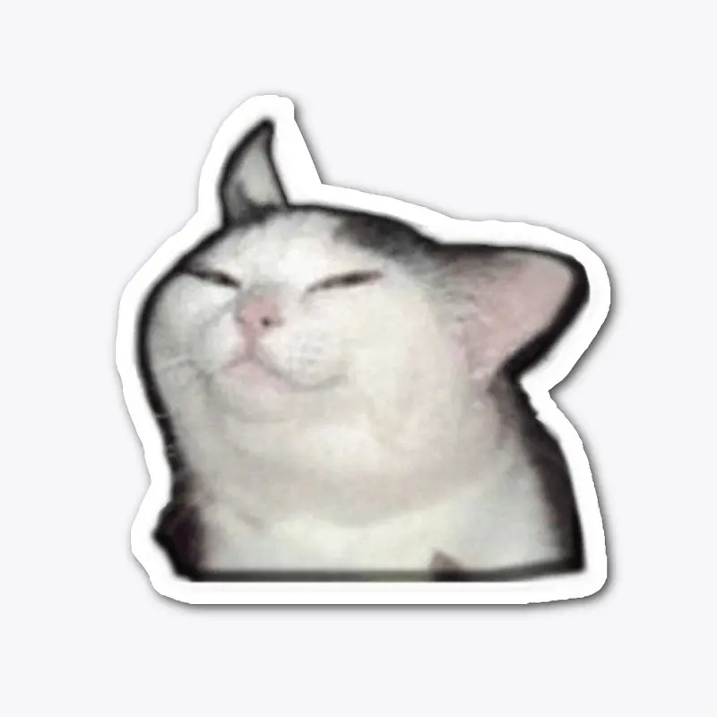 meme cat